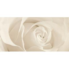 Фото Декор Opoczno Effecta Inserto Beige 29,7х60  - Магазин MASMART