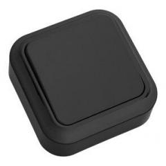 Фото Выключатель одинарный Bylectrica Пралеска - снято з...  - Магазин MASMART