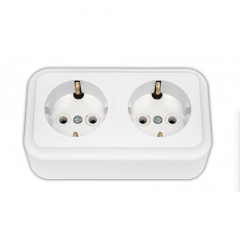 Фото Розетка подвійна з заземленням Bylectrica Пралеска -...  - Магазин MASMART