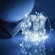 Фото Гирлянда Роса (белый) 10 м, 100 диодов на батарейках + USB  - Магазин MASMART