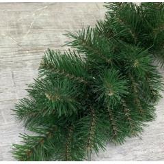 Фото Гірлянда хвойна 2 м (зелена/блакитна)  - Магазин MASMART