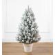 Фото Ялинка лита Засніжена в горщику 1 м  - Магазин MASMART