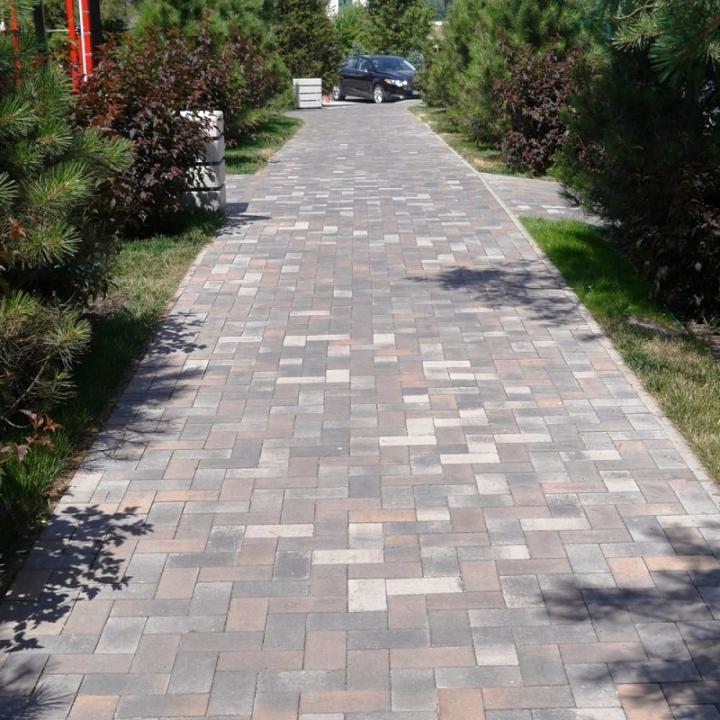 Фото Плитка тротуарна ЗМ Цегла 20х10 6см (порта) без фаски  - Магазин MASMART