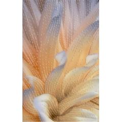 Фото Декор Golden Tile Fiori И9Б321 25х40  - Магазин MASMART