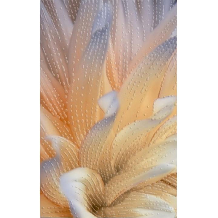 Фото Декор Golden Tile Fiori И9Б321 25х40 - Магазин MASMART
