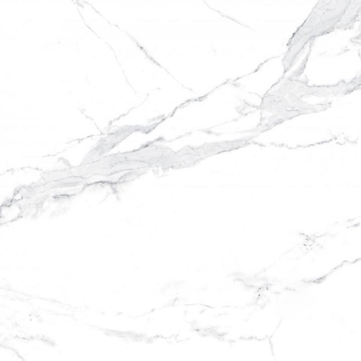 Фото Керамогранит Teo Ceramics Alicante Pearl F P R Satin 60x60 см - под заказ - Магазин MASMART