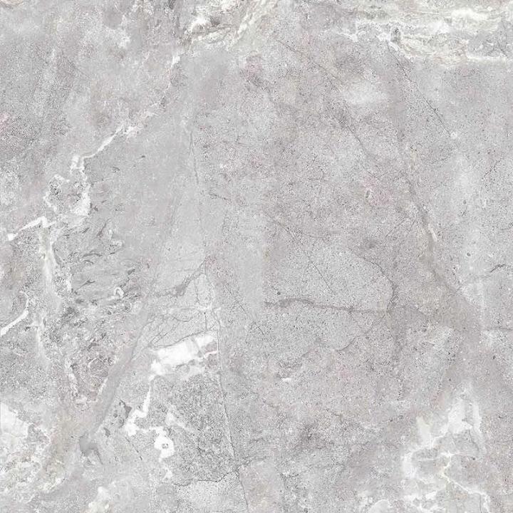 Фото Керамогранит Teo Ceramics Snake Stone Silver F PC R sugar 60x60 см - под заказ - Магазин MASMART