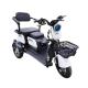 Фото Електротрицикл Dozer Tricycle (800W 60V 20Ah 60-70км 3 швидкості)  - Магазин MASMART