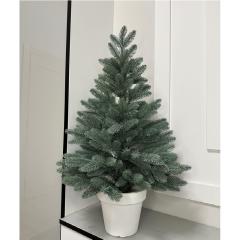 Фото Ялинка лита в горщику Віденська блакитна 70 cм  - Магазин MASMART