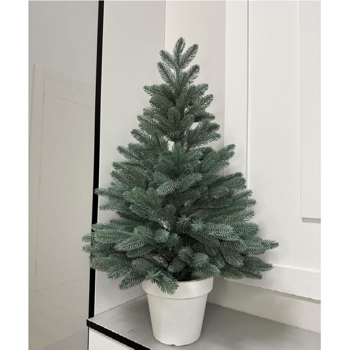 Фото Ялинка лита в горщику Віденська блакитна 70 cм - Магазин MASMART