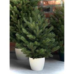 Фото Елка литая в горшке 60 см  - Магазин MASMART