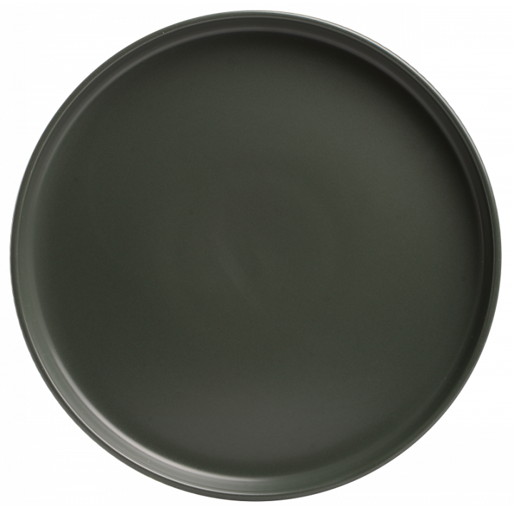 Фото Тарелка обеденная Limited Edition ROBUST GREEN 26.5см - Магазин MASMART