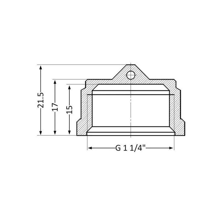 Фото Заглушка латунна 1 1/4" В Thermo Alliance Standart SD40232  - Магазин MASMART